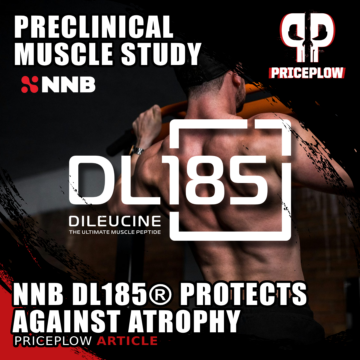 Pea Protein + DL185® + Leucine Outperforms Whey in NNB Nutrition Preclinical Muscle Atrophy Study