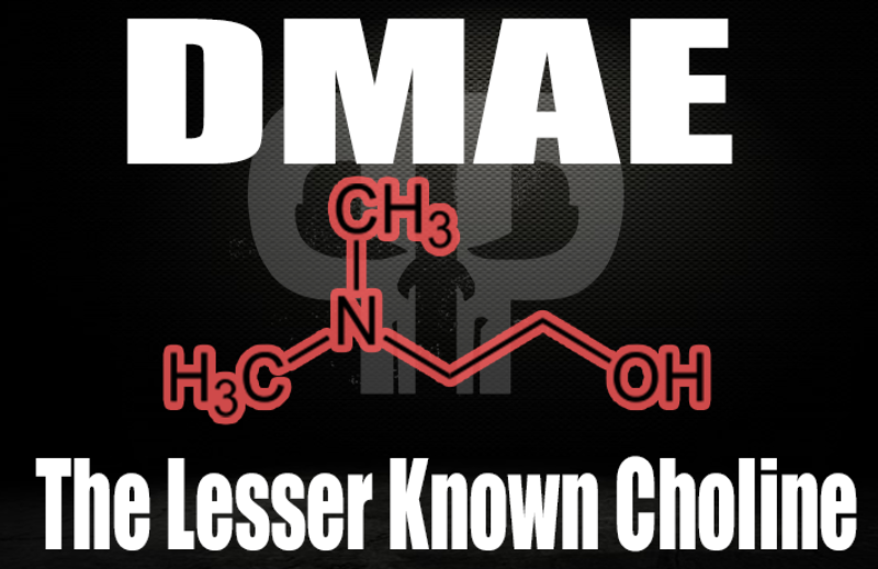 Animal Cuts NonStim Daily Driver Weight Loss Support Comes CaffeineFree