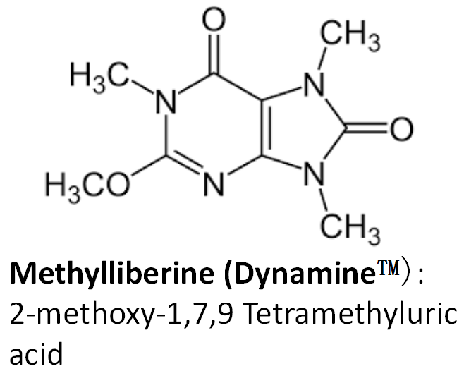 Dynamine Molecule