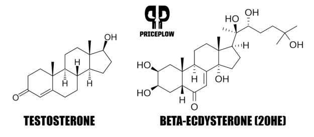 Ecdysterone Testosterone