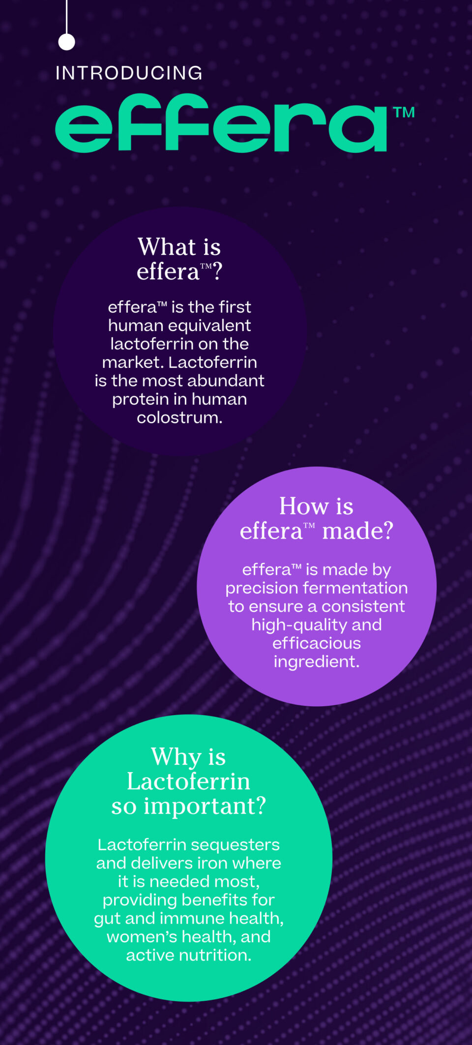 effera™: Revolutionary Human-Equivalent Lactoferrin Goes Beyond Bovine ...