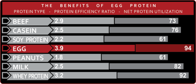 5% Nutrition Egg White Chart