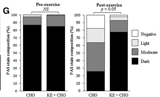 Endurance athletes who consumed a mixture of exogenous ketones and carbohydrates retained far more muscle glycogen after an intensive exercise test