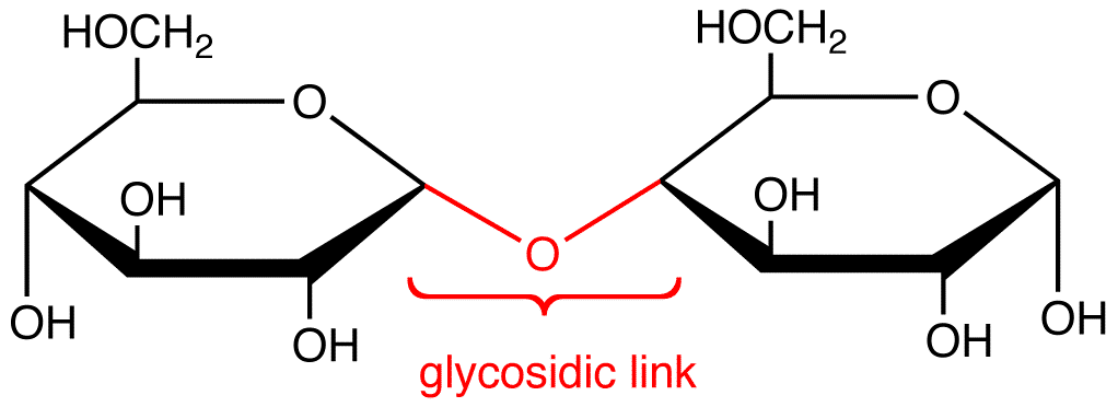 Ephedra Glycosidic Acid