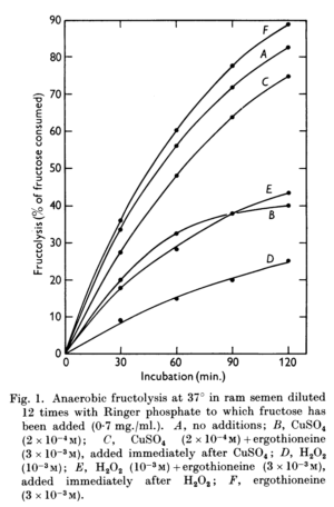 Ergothioneine Fructolysis