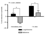 Ergothioneine: The Immunity And Energy Protector