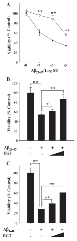 Ergothioneine PC12 Cells