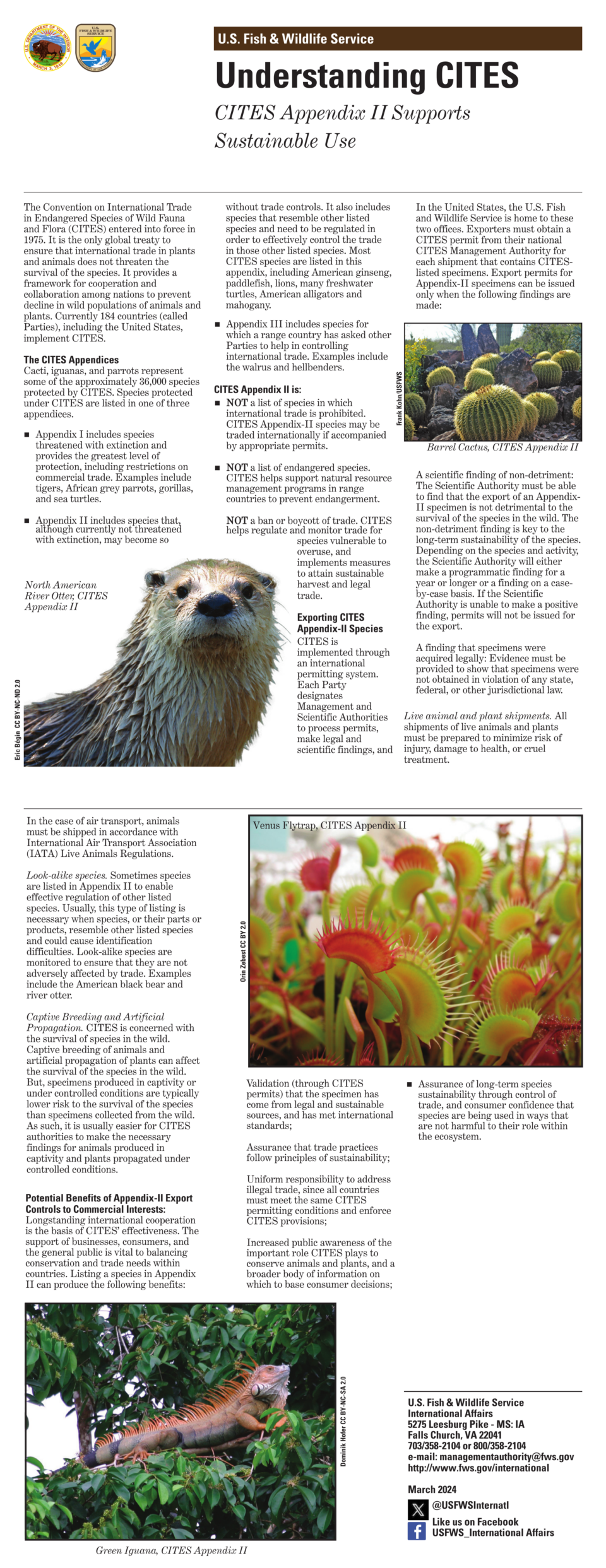 Rhodiola Placed on the CITES Endangered Species List, NNB Nutrition ...