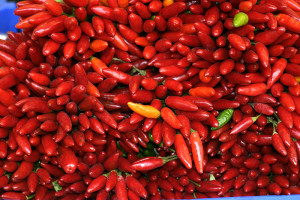 Capsaicin in Hot Peppers