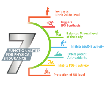 Fitnox: Nitric Oxide Faciliation That’s Fast-acting And Long-lasting