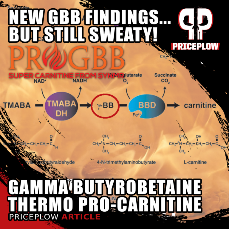 GBB (GammaButyrobetaine Ethyl Ester) Super Carnitine That Makes You