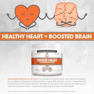 Genius Heart Cardiovascular Brain