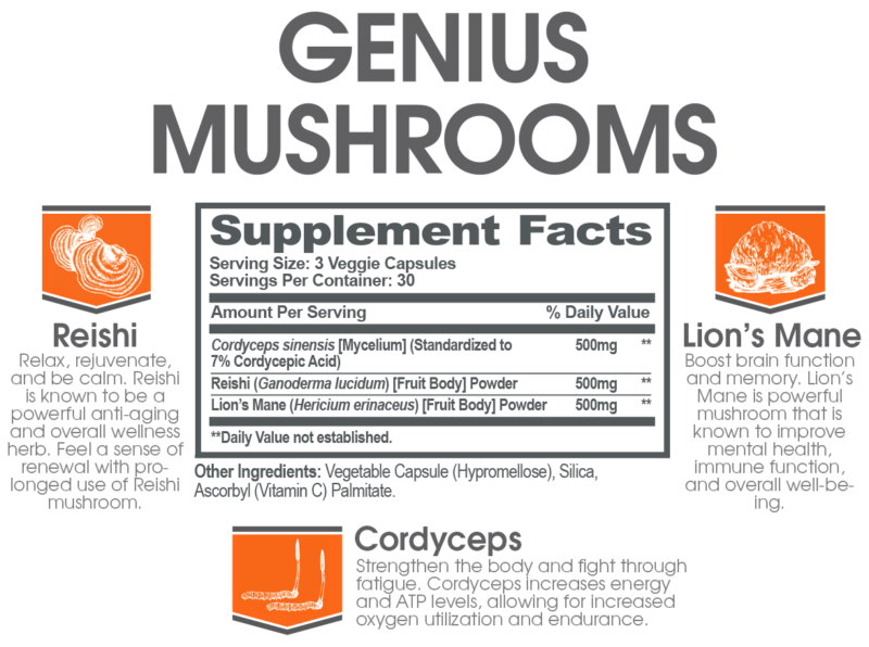 Genius Mushrooms Three Species For Full Spectrum Benefits