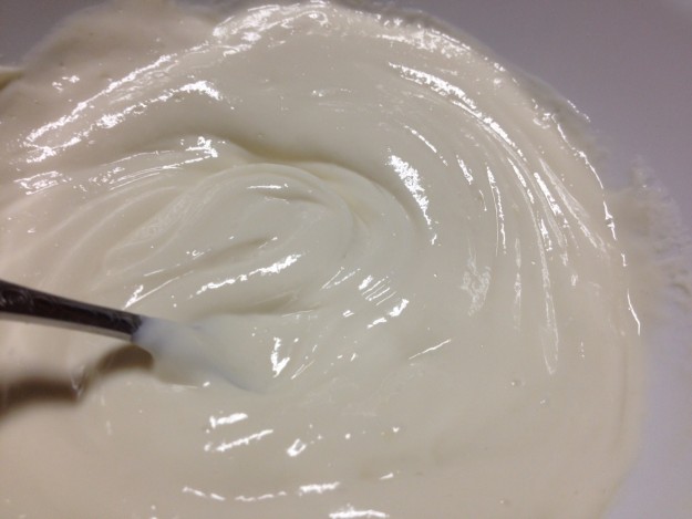 Giant Sports Delicious Protein ELITE Review