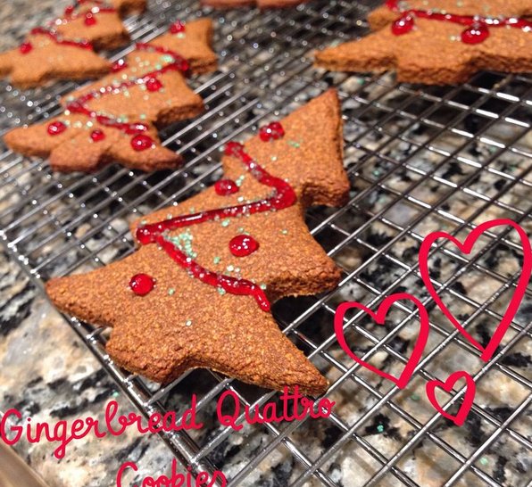 Gingerbread Protein Cookies