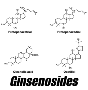 Ginsenosides