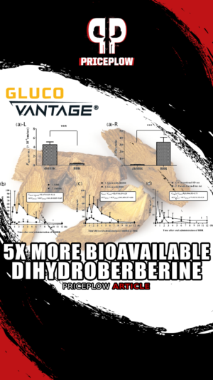 Glucovantage Dihydroberberine vs. Berberine