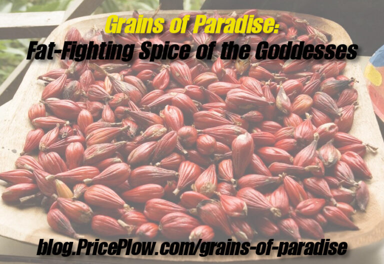 Grains of Paradise Fat Fighting Spice of the Goddesses