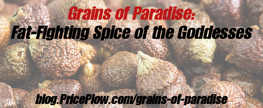 Grains of Paradise