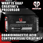 Guanidinoacetic Acid (GAA): A Guide to Creatine’s Precursor – Benefits, Risks, and Strategies with CreGAAtine