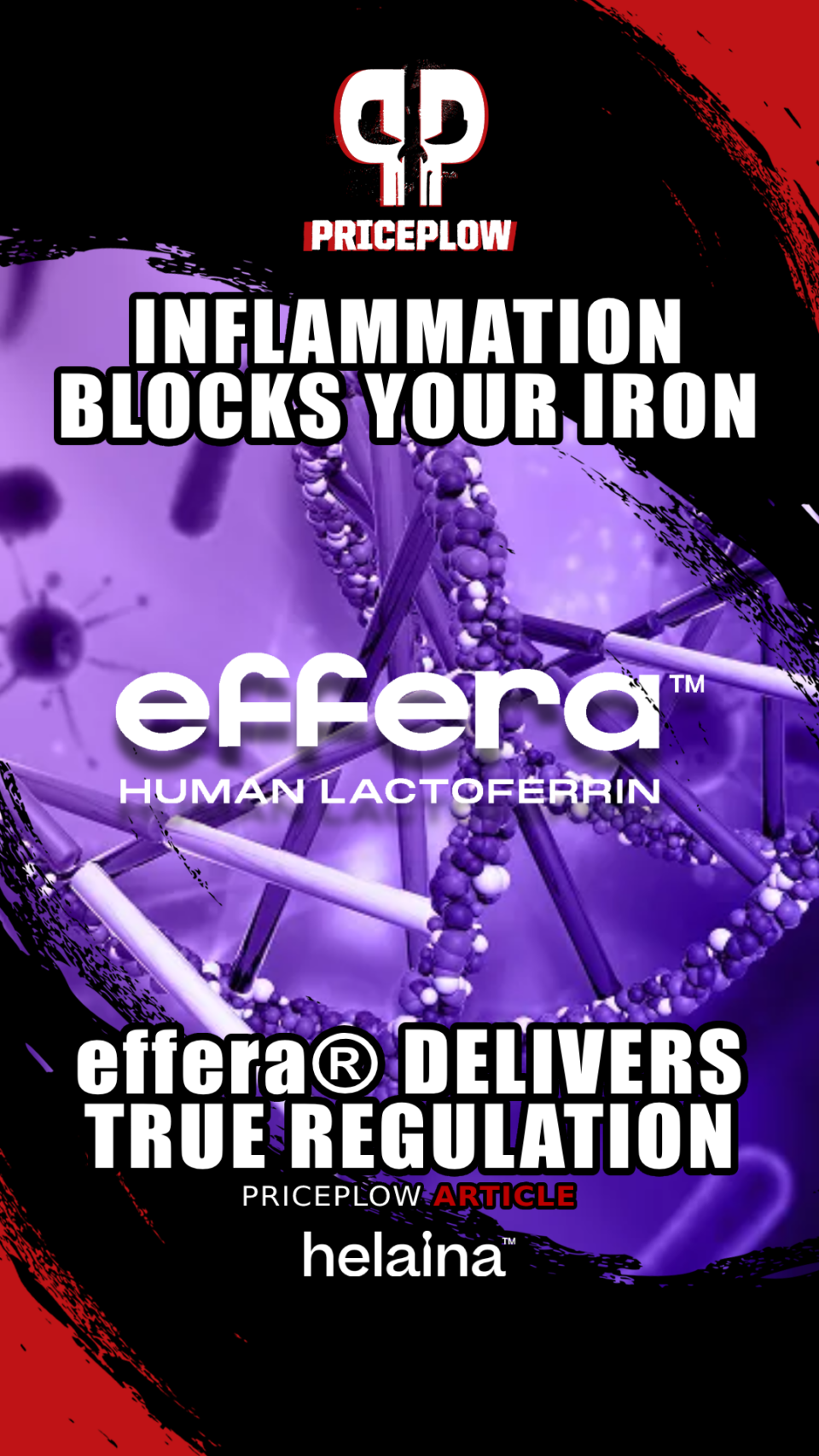 Iron Homeostasis and effera® Human Lactoferrin: Beyond the 