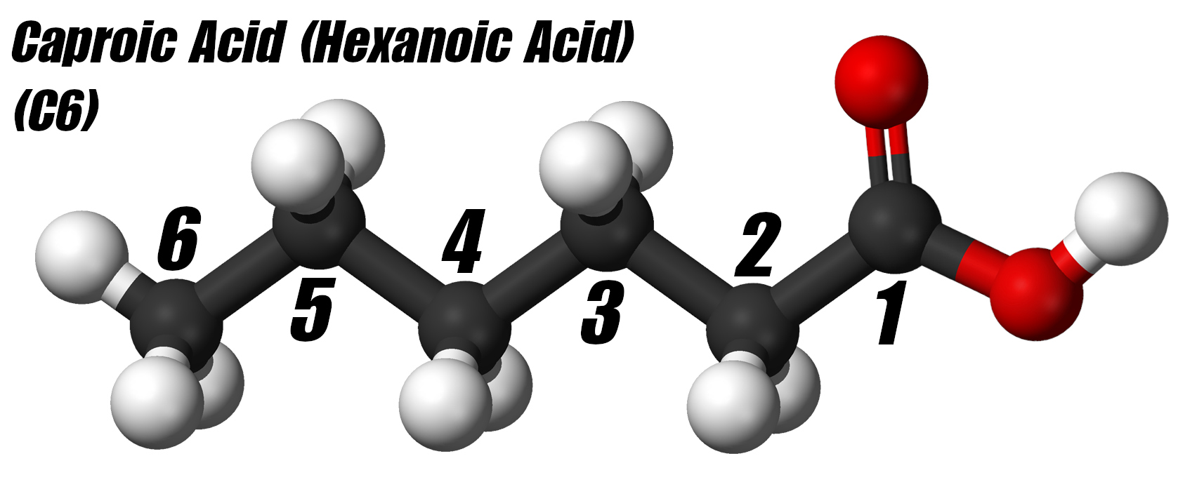 Hexanoic Acid