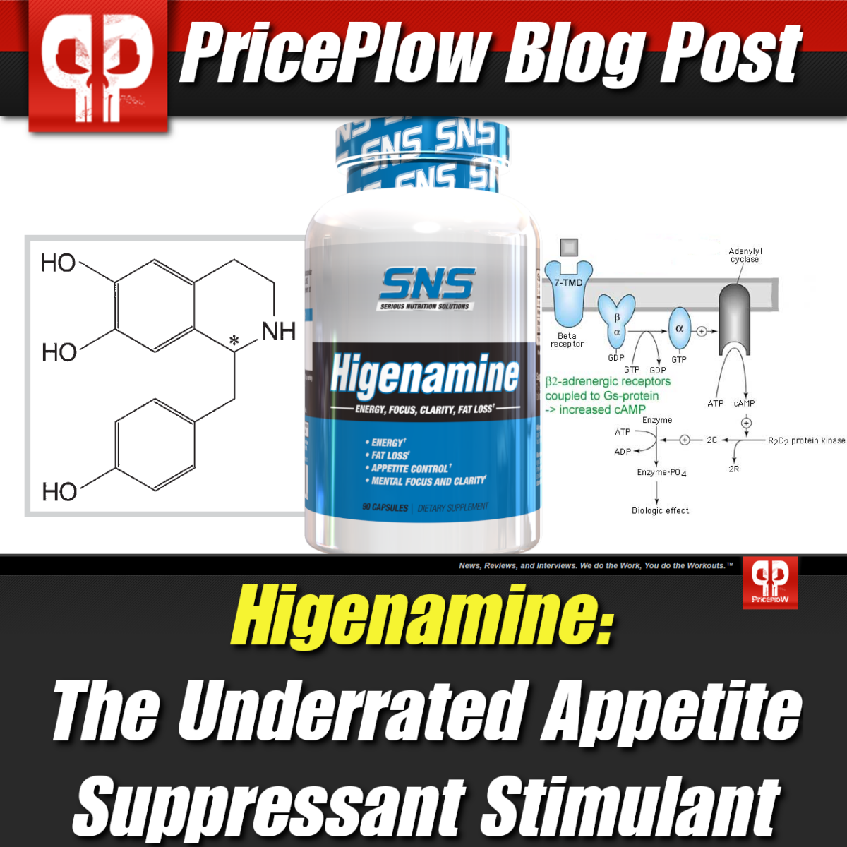 how long after taking l carnitine can i eat how long after taking l carnitine can i eat Acetyl L-Carnitine