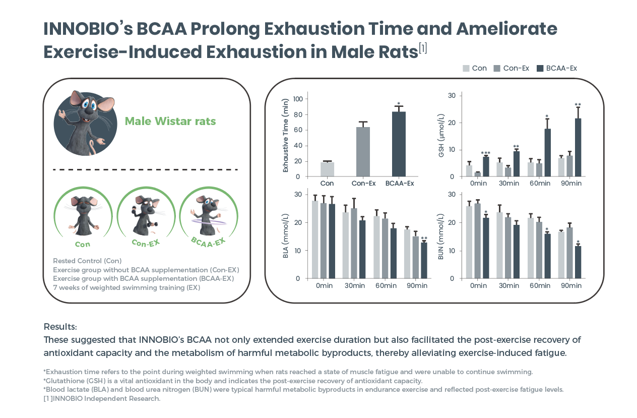 The efficacy of INNOBIO's BCAAs was validated by an internal animal study, which found that they can significantly improve athletic endurance.