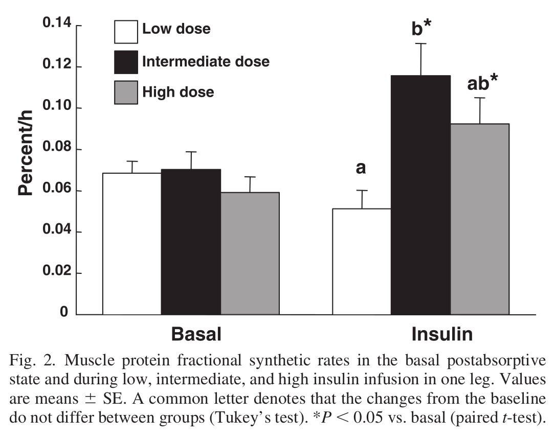 Insulin and Muscle Protein Synthesis
