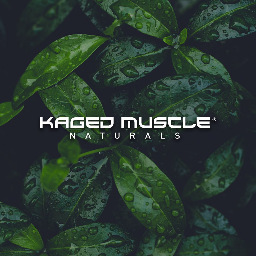Kaged Muscle Outlive 100 Review To Flourish & Thrive