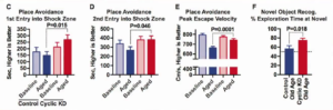 In the experiment, the cyclic ketogenic diet improved nearly every cognitive/mental marker - and the subjects started the keto diet 1/3 of the way into their lives!