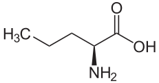 L-Norvaline Molecule