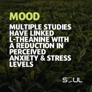 L-Theanine Anxiety & Stress