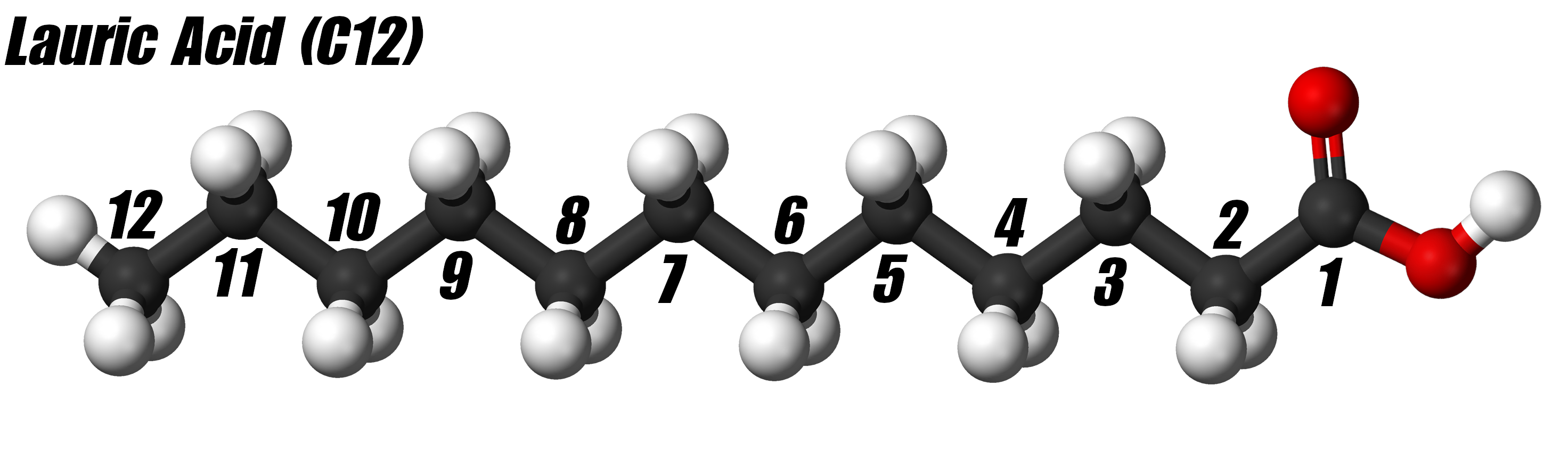Lauric Acid (C12)