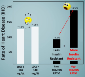 LDL vs. Triglyceride to HDL Ratio