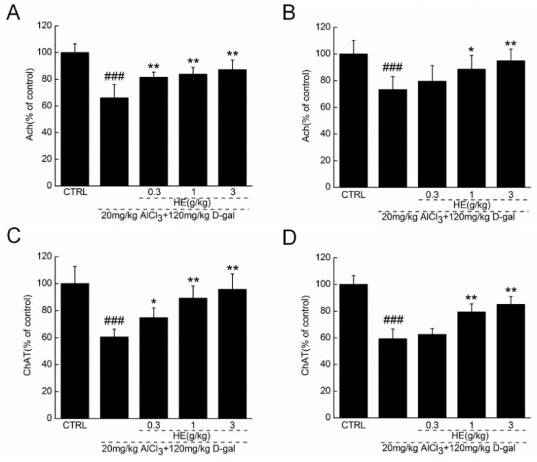 Lion’s Mane The Nerve Growth Nootropic Mushroom