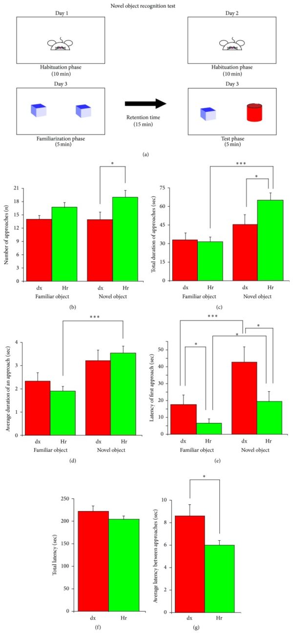 Lion’s Mane The Nerve Growth Nootropic Mushroom