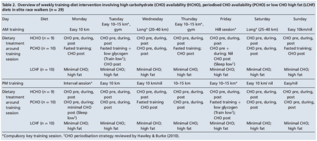 2008 atkins diet study