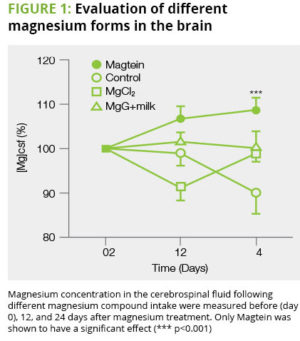 Magtein Benefits