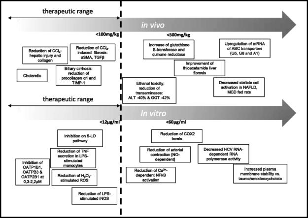 Milk Thistle Benefits