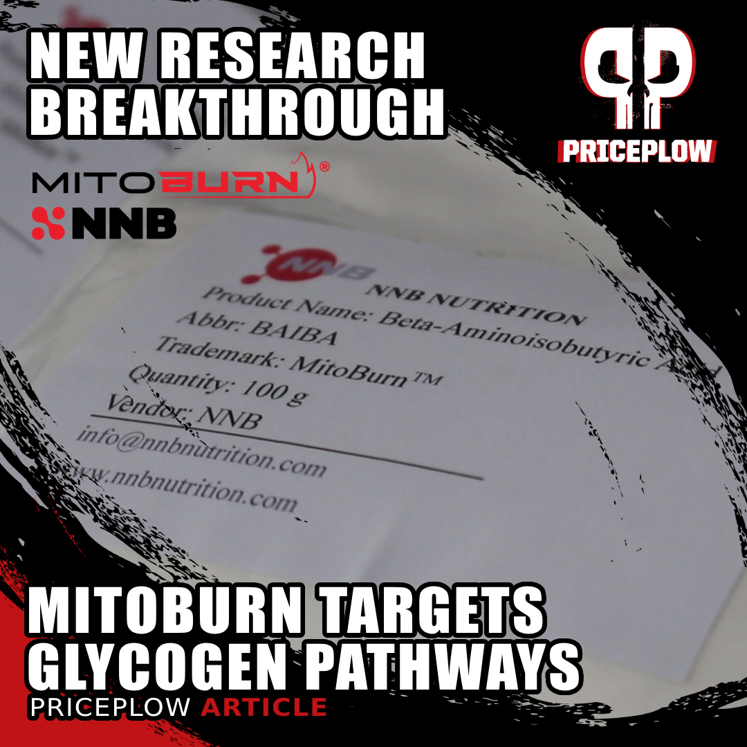 Glycogen Supercompensation Breakthrough: New Research on MitoBurn's Metabolic Benefits