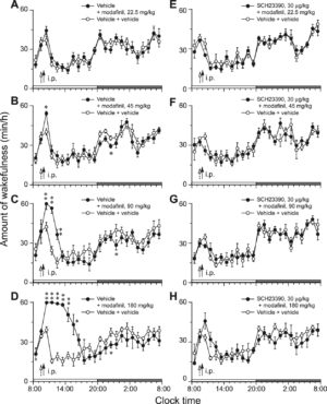 Modafinil Time Change Wakefulness - Time course changes in wakefulness of D2R KO mice after intraperitoneal administration of modafinil at four doses (A–D) or after pretreatment with D1R antagonist SCH23390 before modafinil (E–H).<sup>[5]</sup>