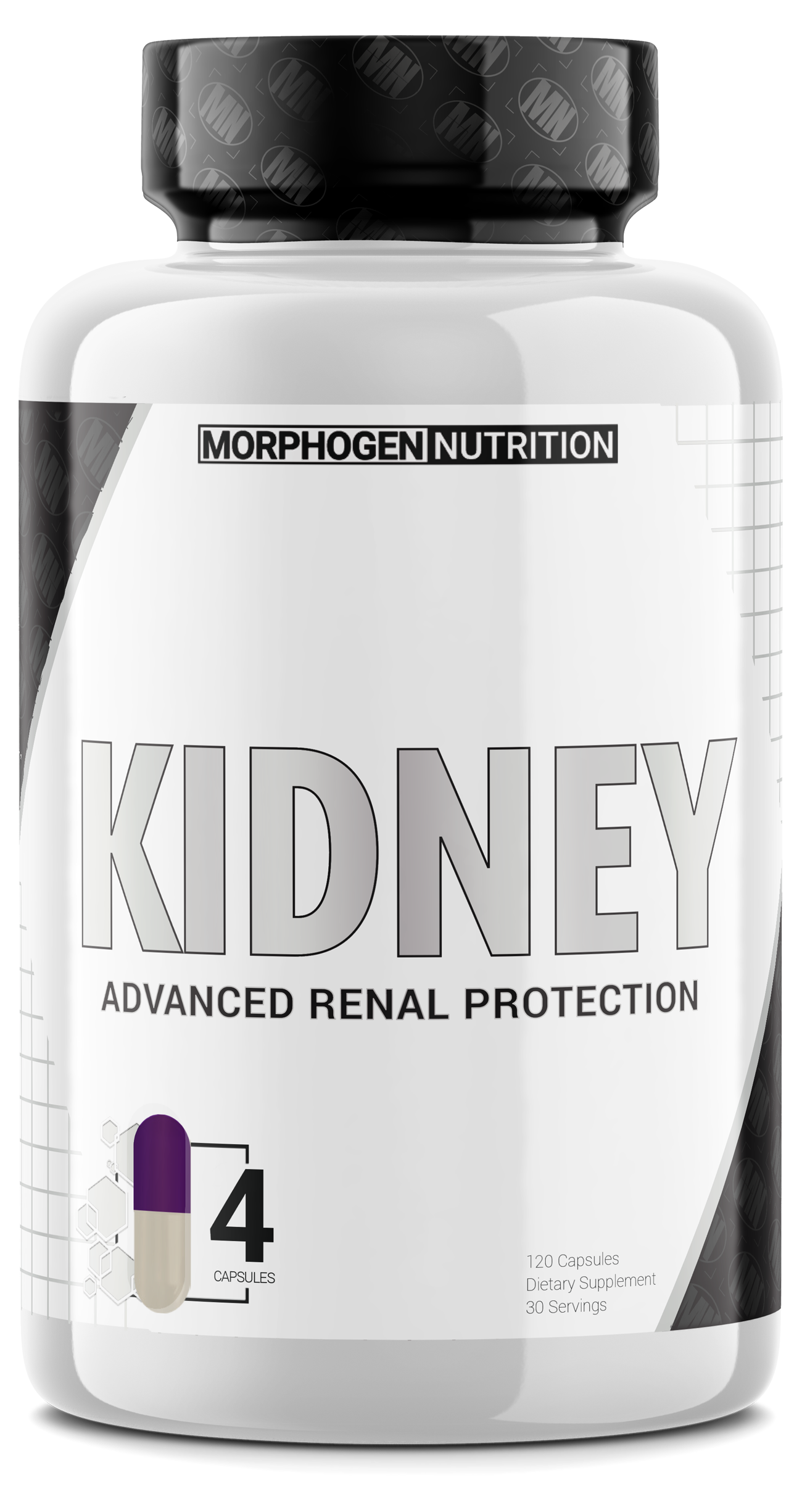 Morphogen Nutrition Kidney