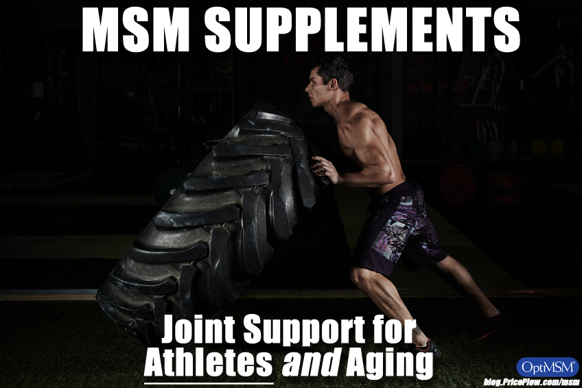 MSM Supplement