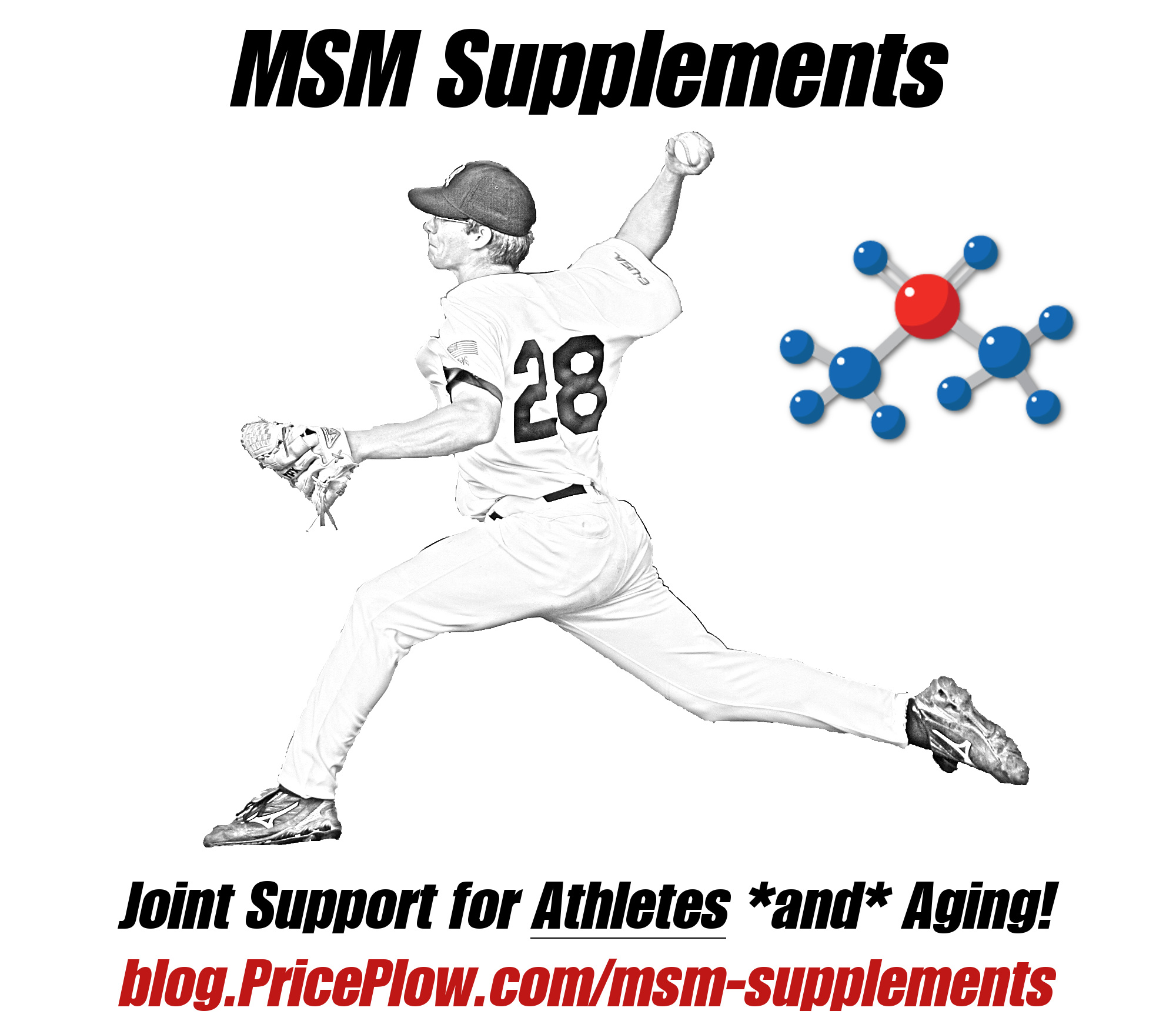 MSM Supplements