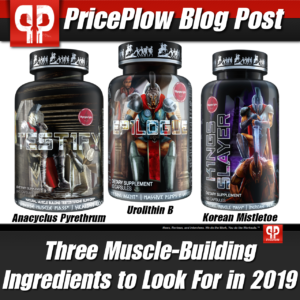 Muscle Building Ingredients
