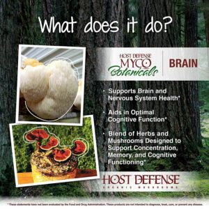 MycoBotanicals Brain Function