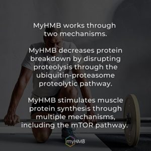 How MyHMB Works