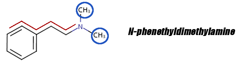 N-Phenethyldimethylamine is like a PEA molecule, but with an N,N' Alkyl section that also prevents MAO from cleaving it... although not as well as DMAA's mechanism.