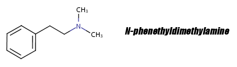 N-Phenethyldimethylamine